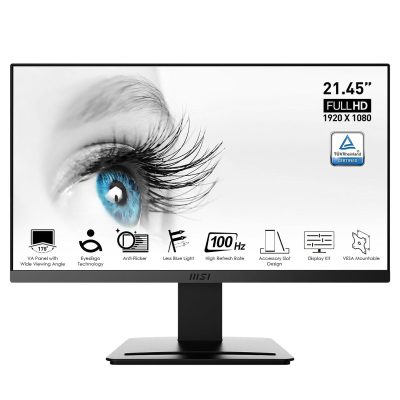 MSI Pro 22 Inch