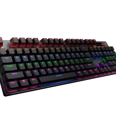 Rapoo V500Pro 87 Tkl Mechanical Keyboard