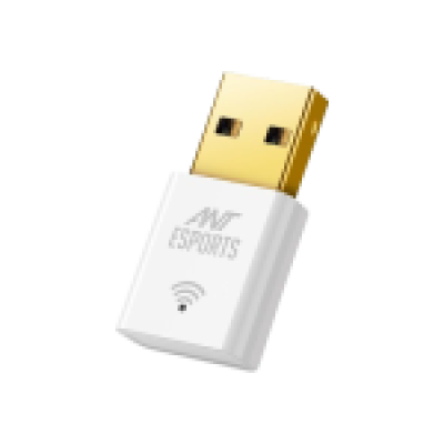 Ant Esports Wireless Usb