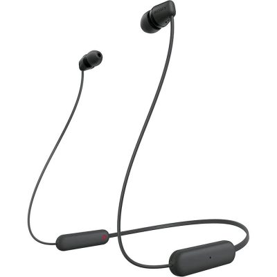 Sony Wi Headphones