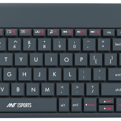 Ant Esports Wk100 Wireless