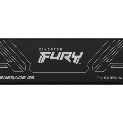 Kingston Fury Renegade G5 1Tb |