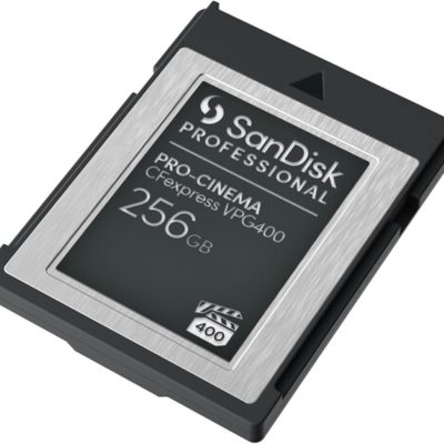 Sandisk Professional 256Gb Pro,Sdpcvn4 256G Gnann