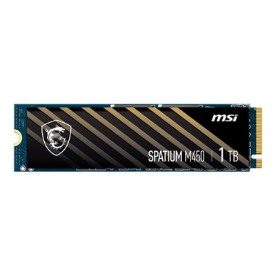 Msi Spatium M450 Pcie 4 0