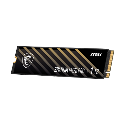 Msi Spatium M470 Pro Pcie 4