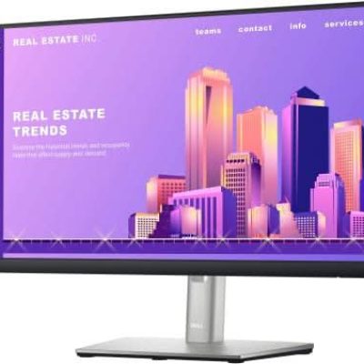 Dell 24 Inch P2422H Fhd Ips Monitor